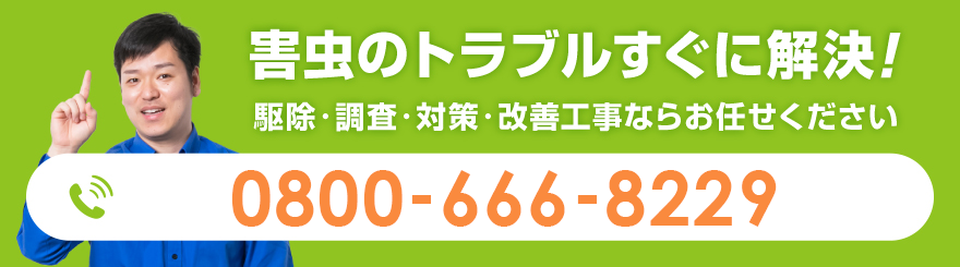 害虫・害獣のトラブル今すぐ解決します
