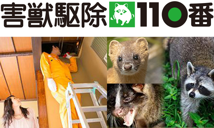 害獣駆除110番