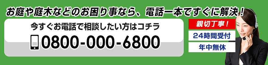 0800-000-6800