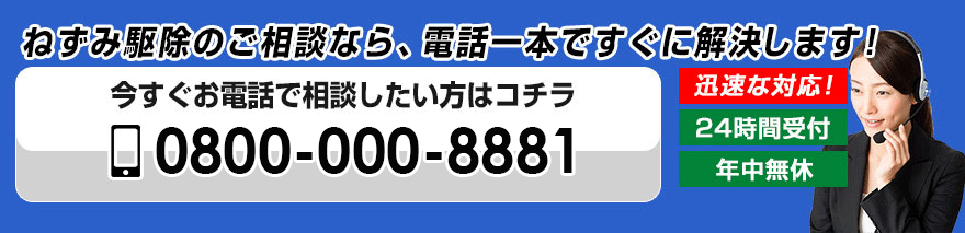 0800-000-8881