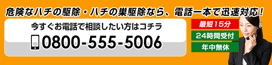 0800-555-5006