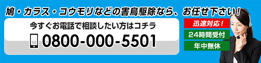 0800-000-5501