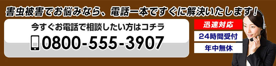 0800-555-3907
