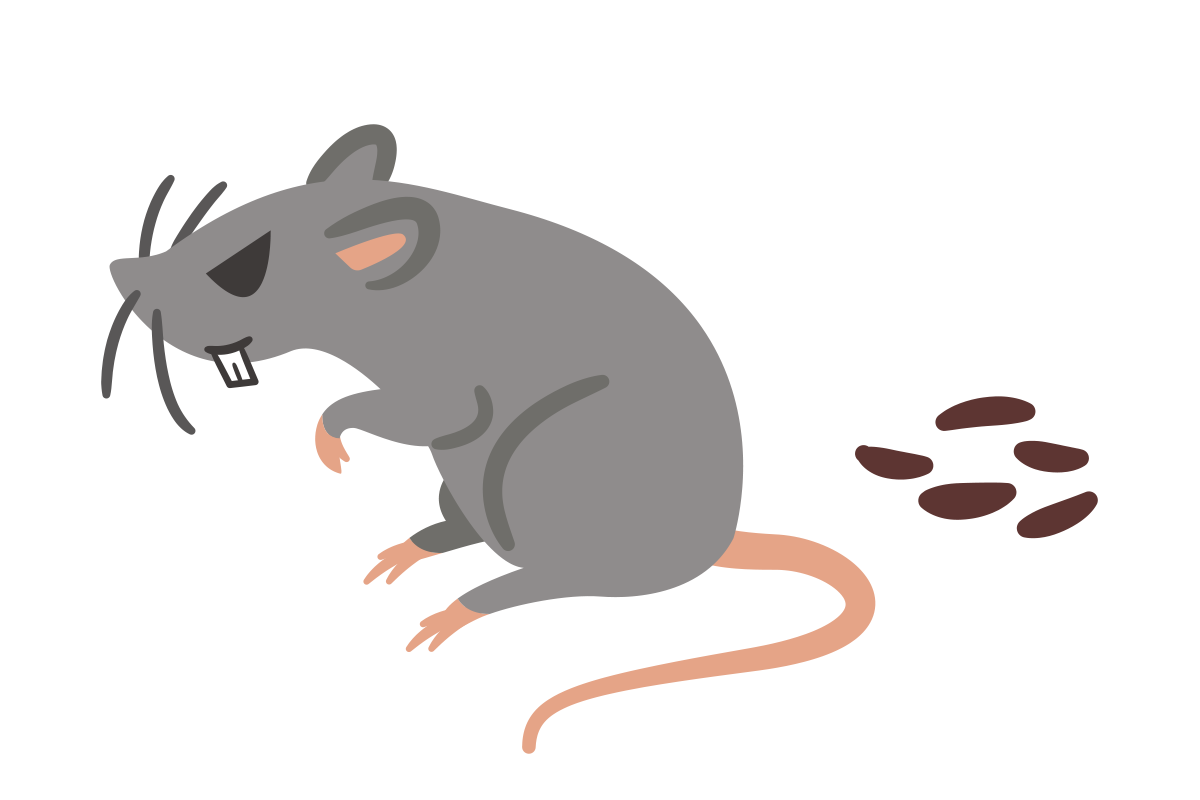 ネズミのフンのイメージ画像
